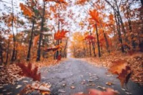 Your Fall Outdoor Projects