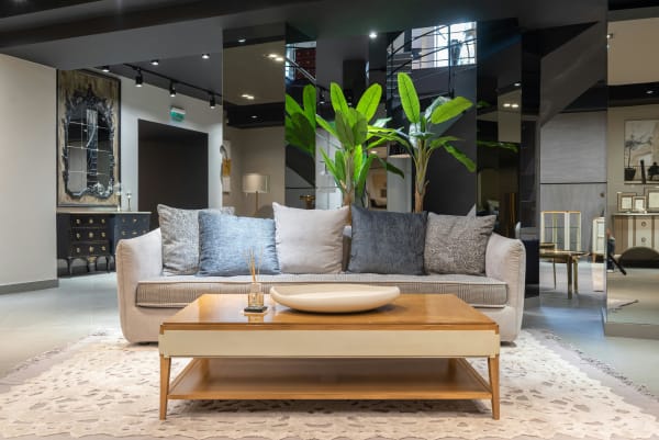 The role of area rugs in open-concept living spaces: Enhancing aesthetics and functionality