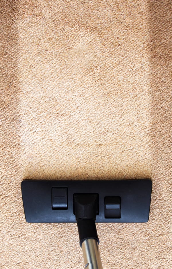 Carpet in Copley, OH from Floorz