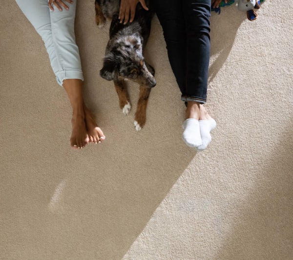 Carpet in Fulton, MD from Friends and Family Flooring