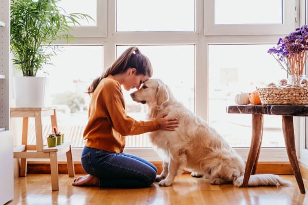 Hardwood floor acclimation Houston TX