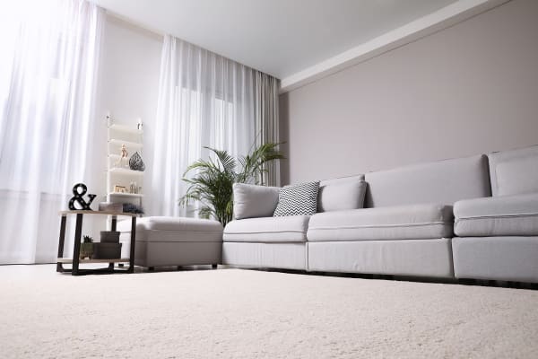 carpet flooring