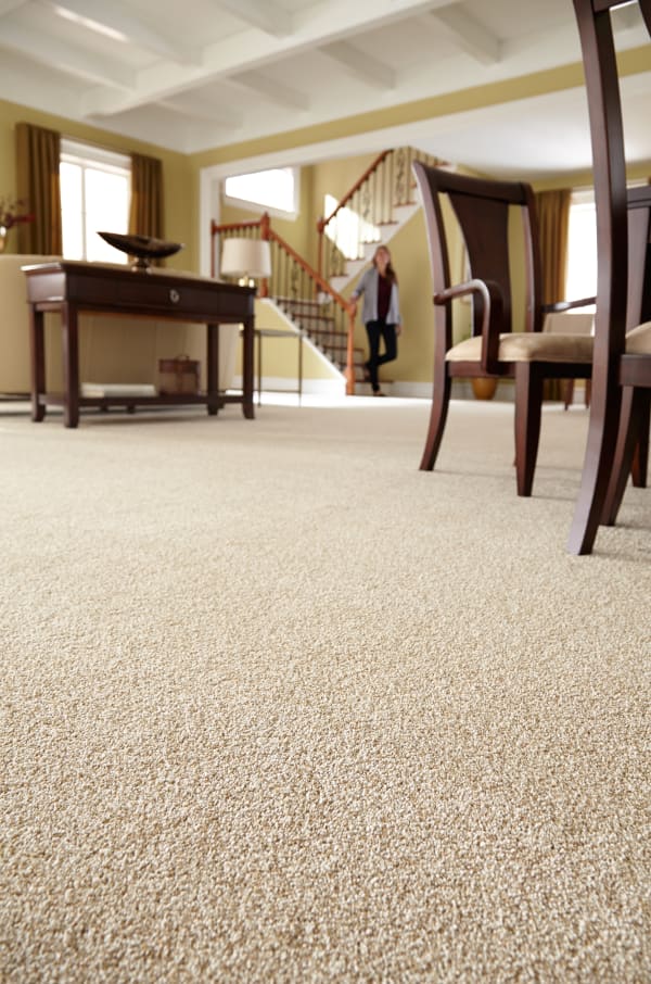 Nylon Carpet in Marysville, WA from Jay's Flooring LLC
