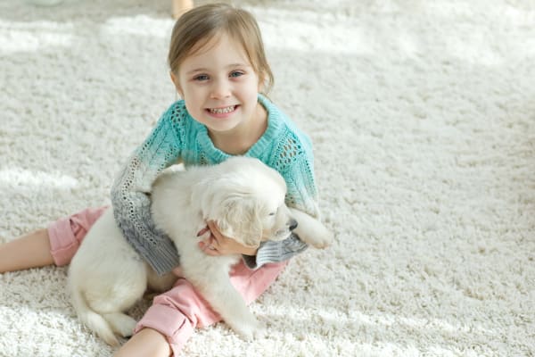 Best Carpet Options For Families With Kids And Pets In Laguna Hills, CA