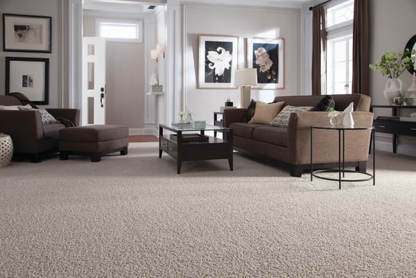 carpet in Pueblo, CO from Mountain View Flooring