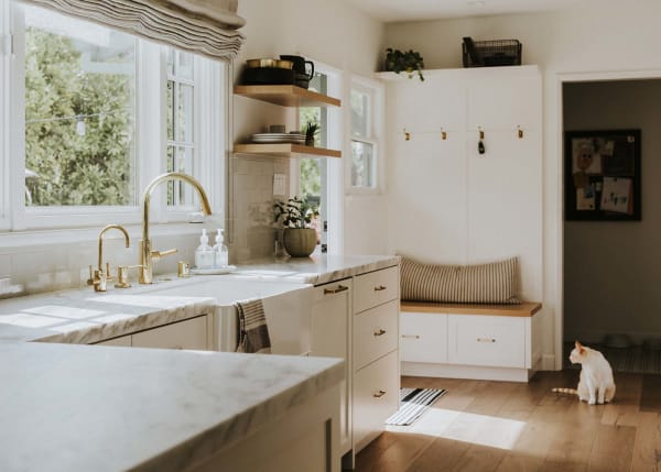 What Flooring is Best If You Have Pets?