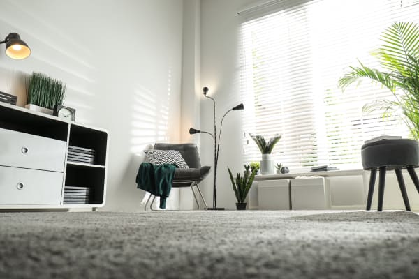 carpet flooring