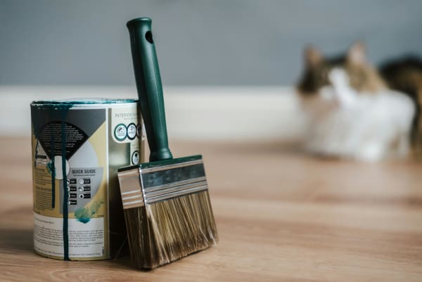 Interior Painting Trends for 2025: From Warm Neutrals to Bold Accents
