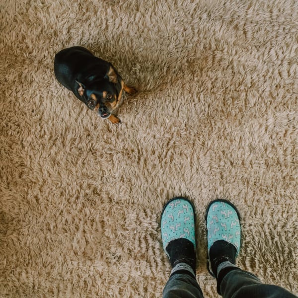 Carpet Flooring in Denton, TX from Smitty's Floor Covering