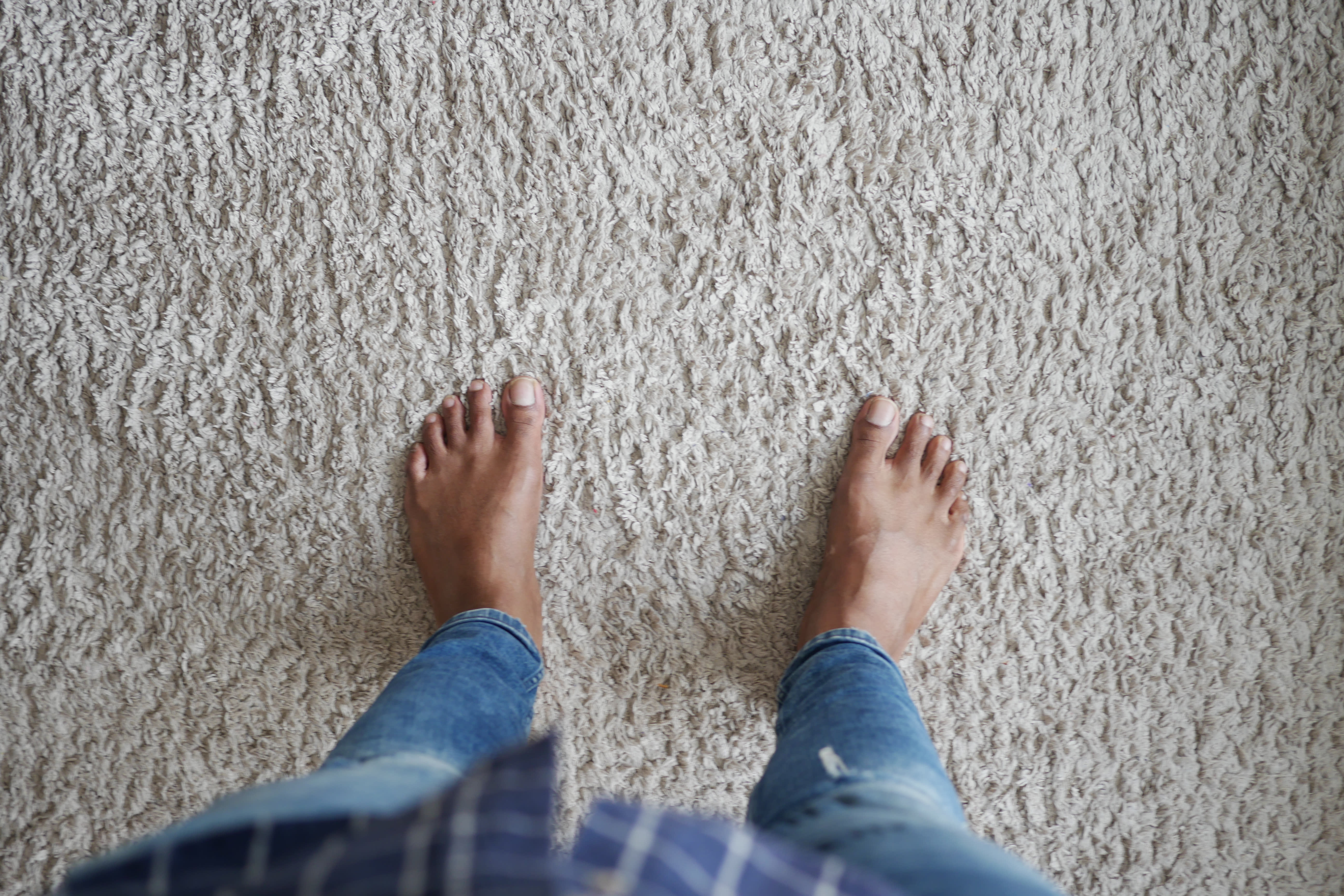 Franklin, TN | Carpet Den Interiors, image size:5184x3456