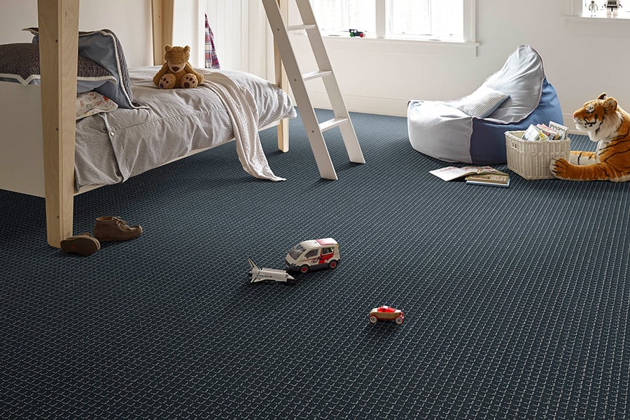 Shaw stain resistant carpets in Colorado Springs, CO