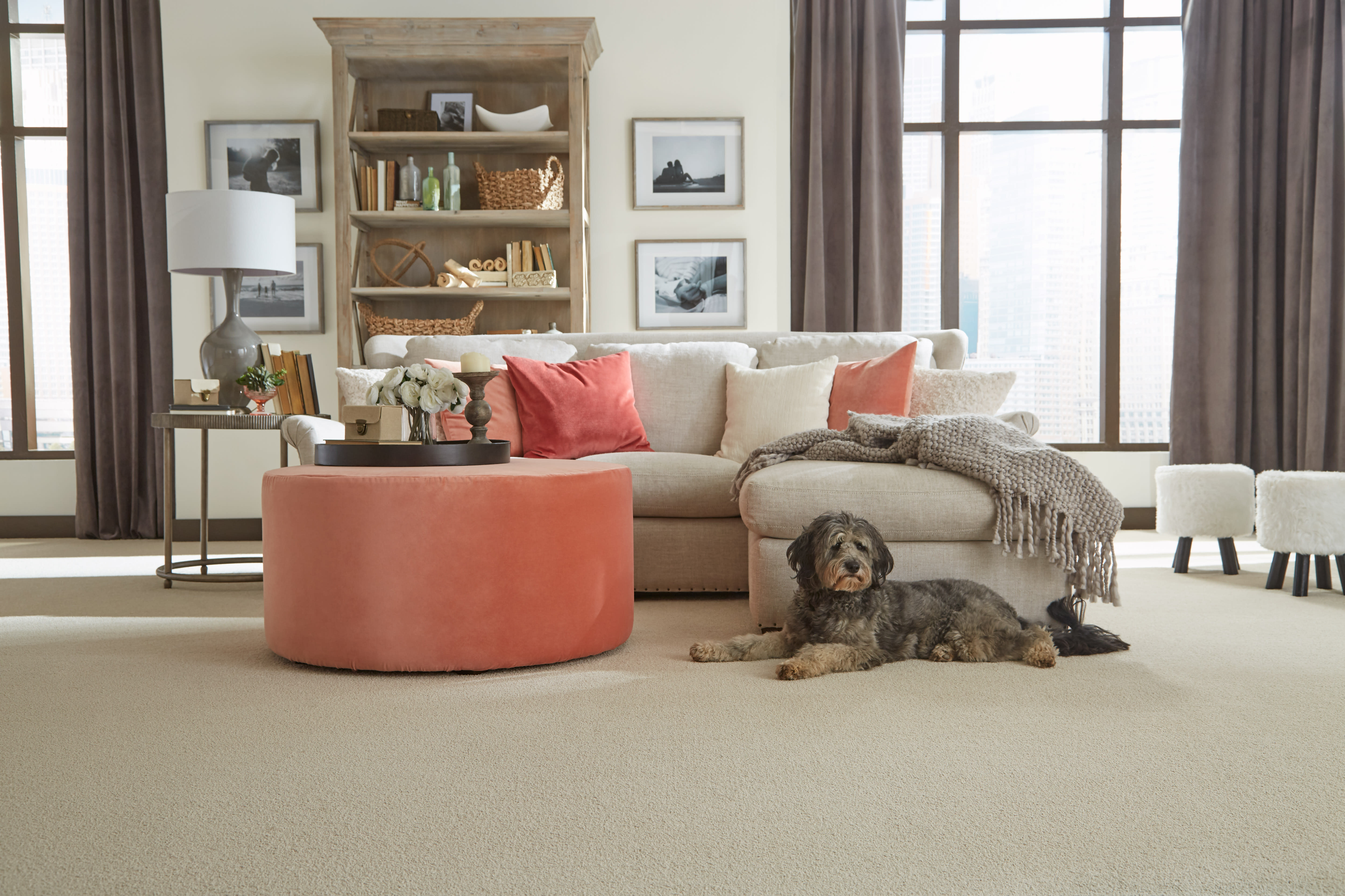 Why Carpet is Making a Cozy Comeback in Utah's Lake Point and Draper ...
