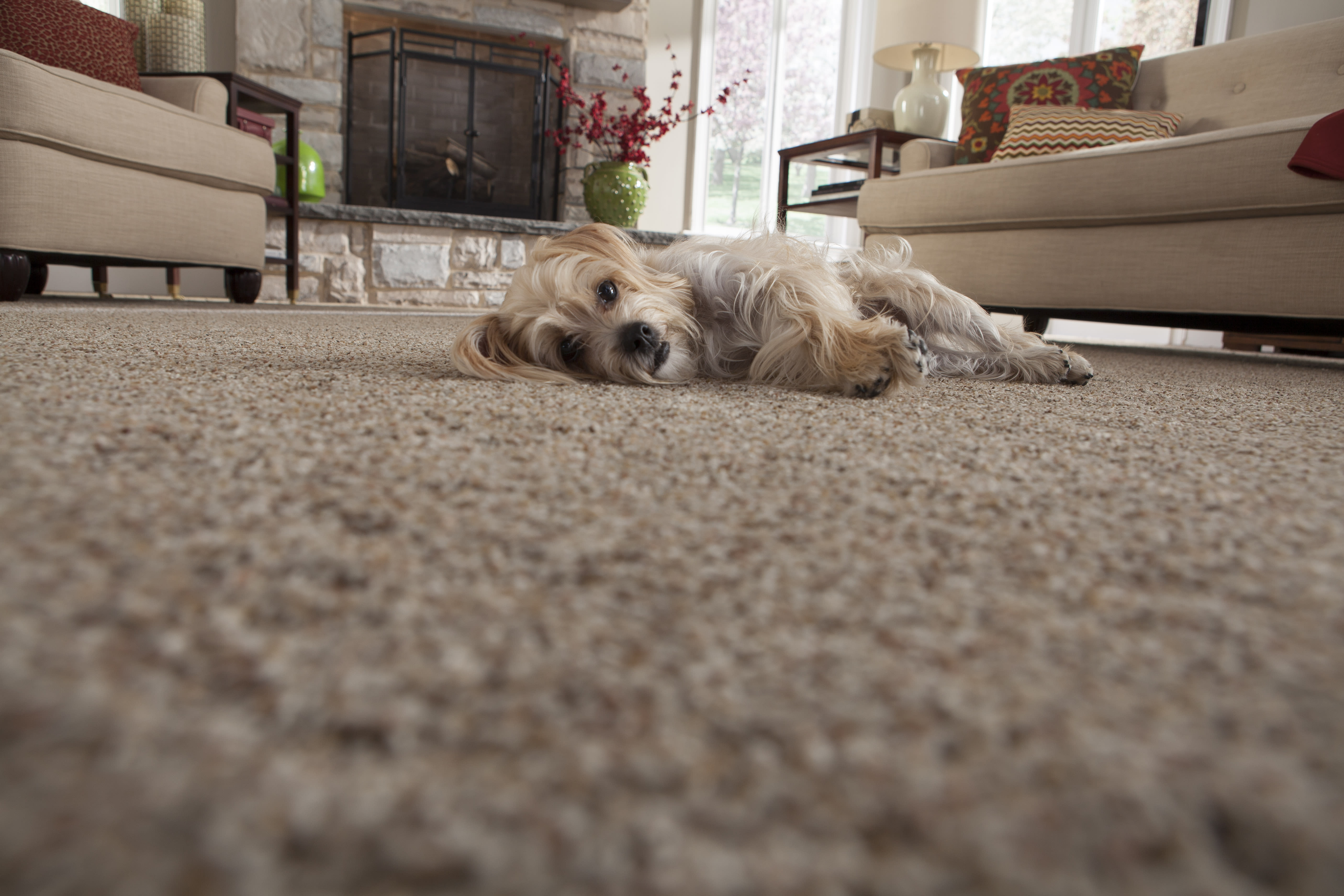 Carpet in Roseville, CA from Granite Bay Flooring and Design