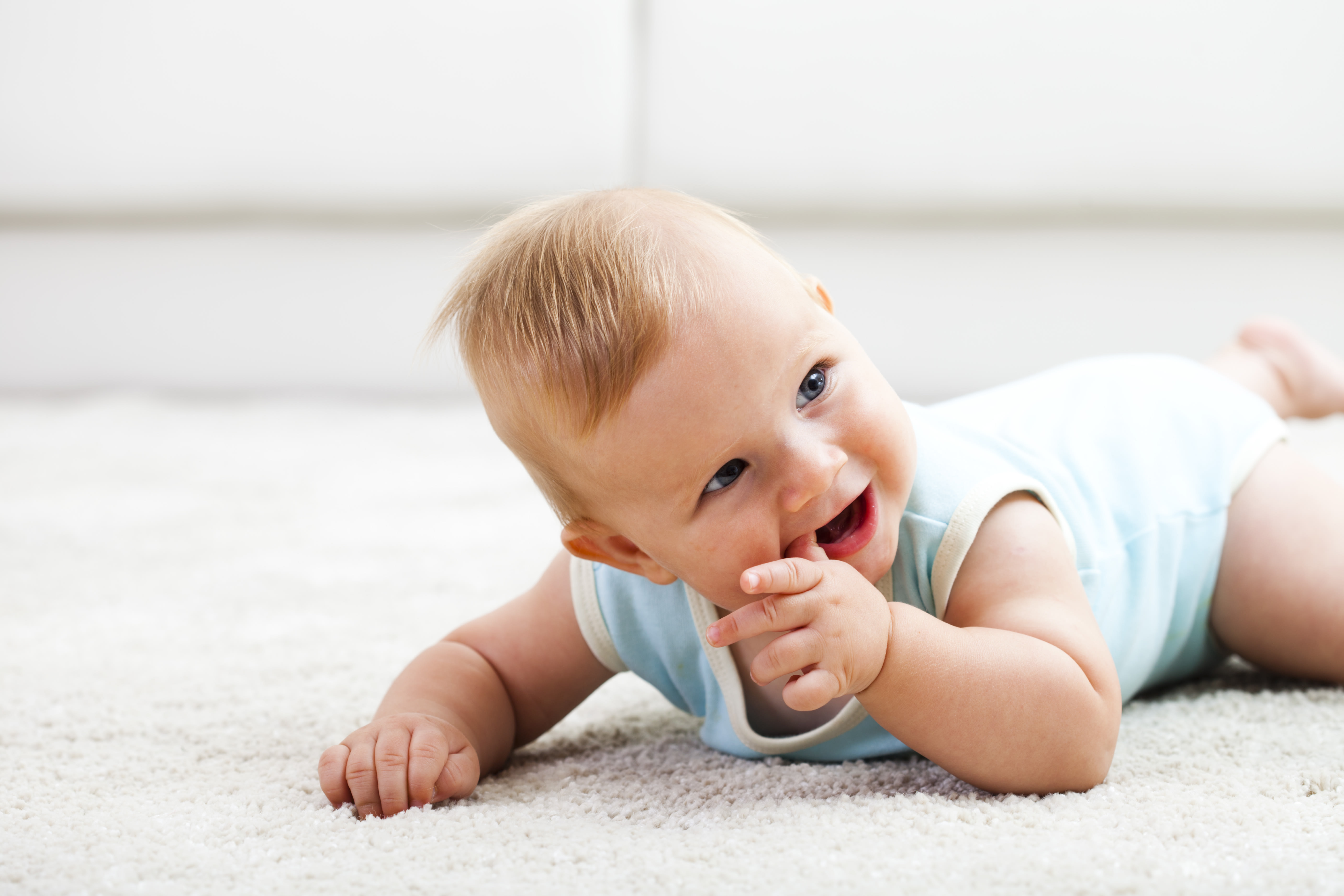 Carpet in San Marcos, CA from Legacy Wholesale Flooring