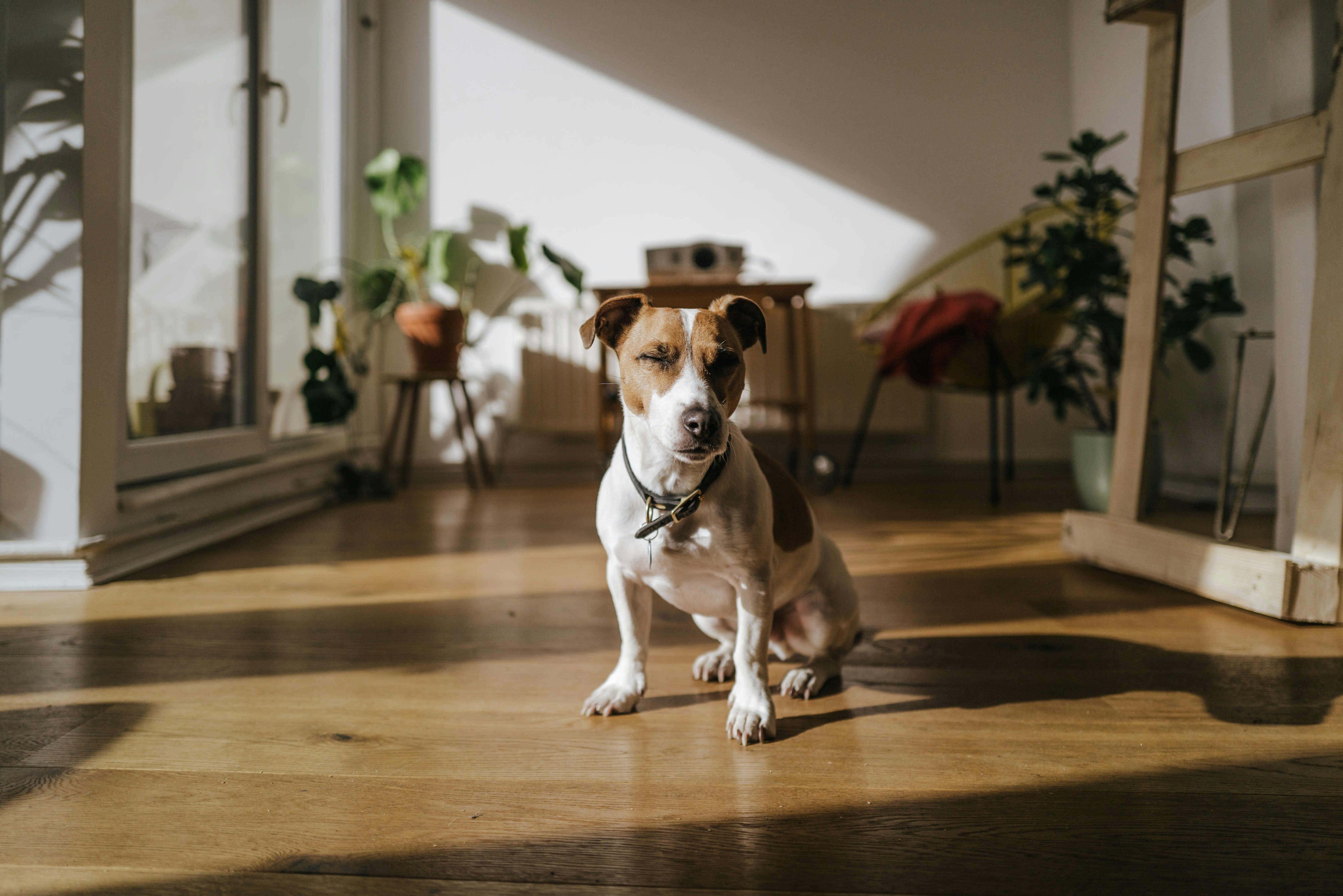 Luxury Vinyl Flooring in Norman, OK