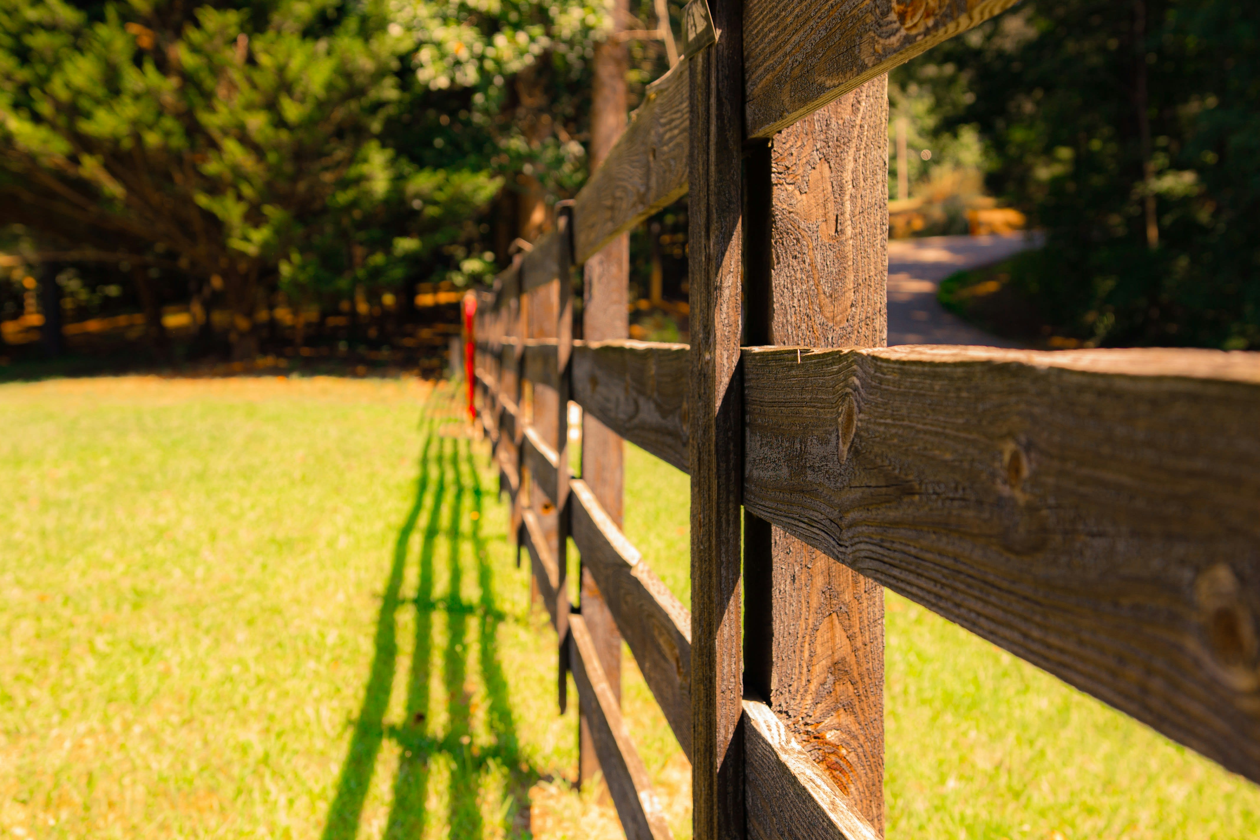 Why is Wood Fencing Good for a Pet-Friendly Yard?