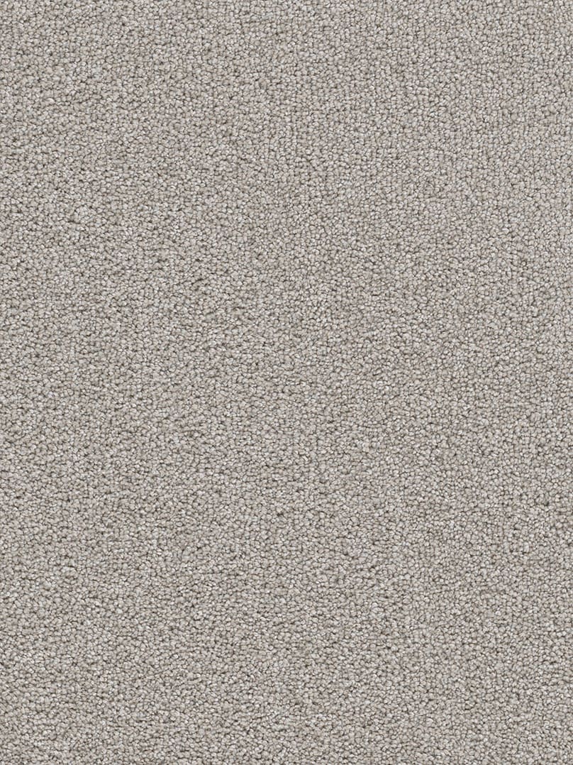 Dream Weaver Carpet Cape Cod 927 Chrome