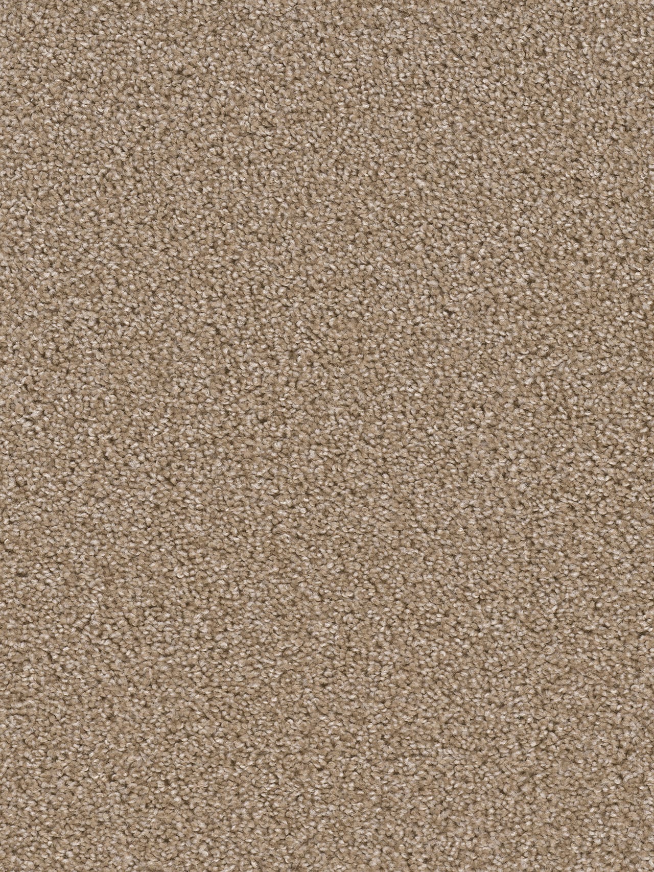 Dream Weaver Carpet Broadcast 701 Sawgrass