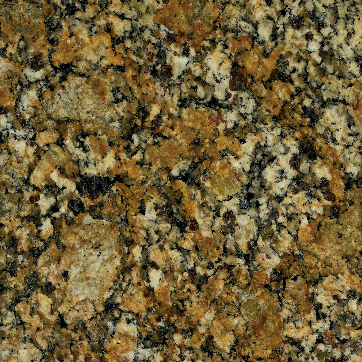 Arizona Tile Granite Giallo Portofino