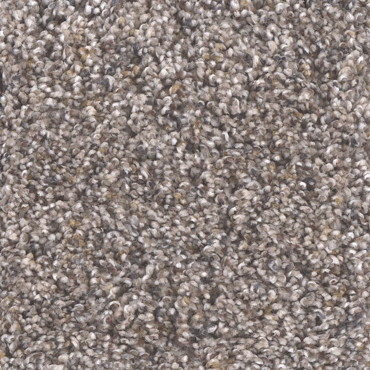 Dreamweaver Puresoft Carpet Reviews Carpet Vidalondon
