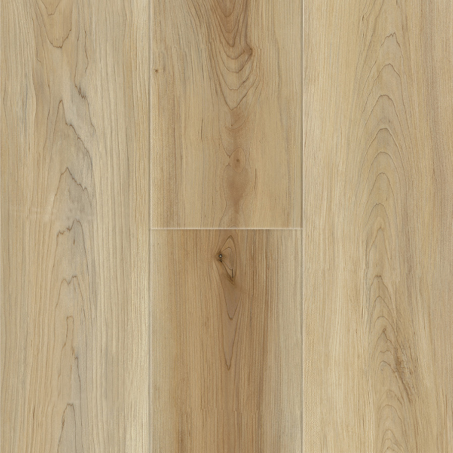 Spalted Maple