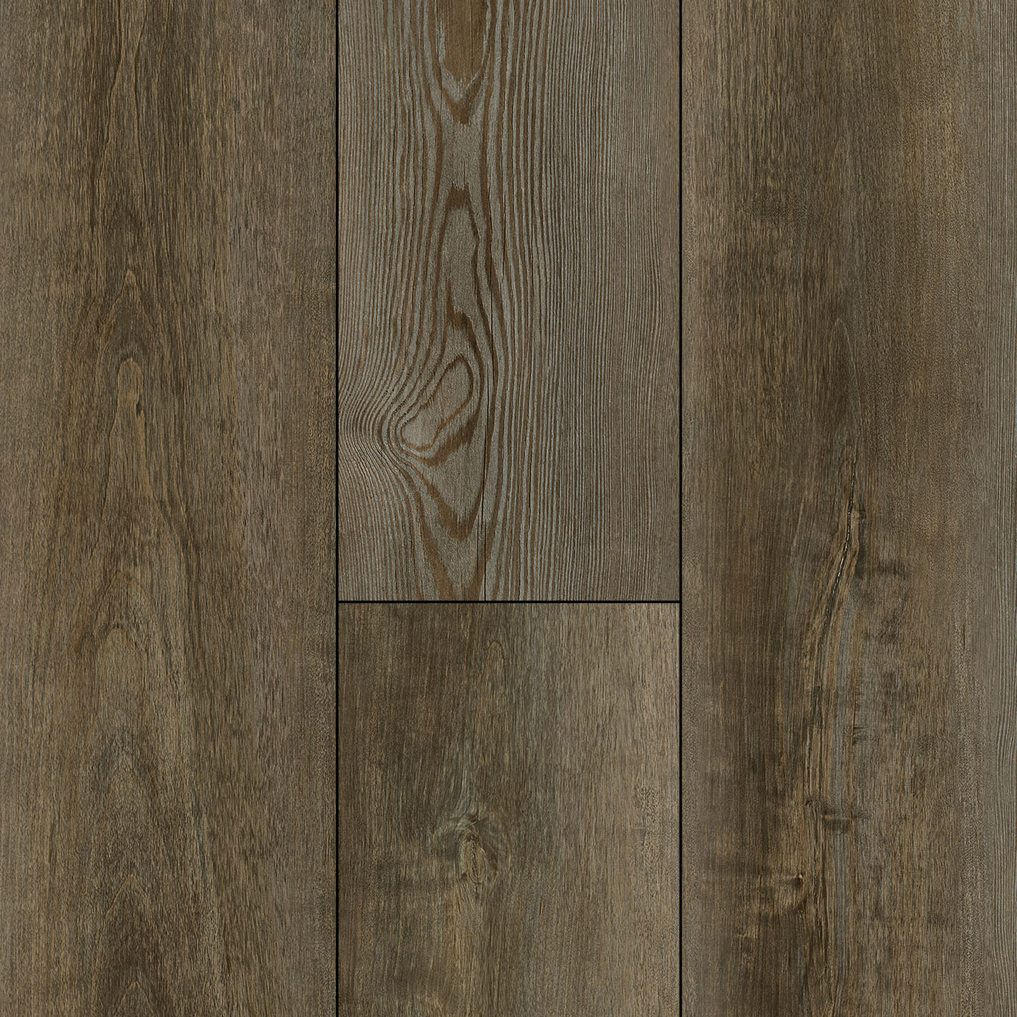 Sienna Cypress