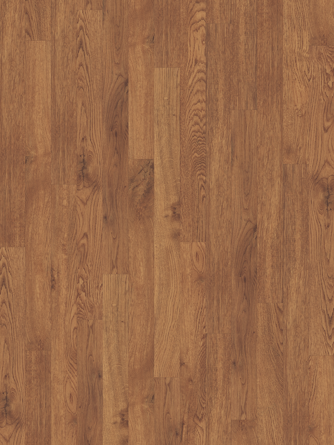 Carpet Specialists Inc Better Business Bureau Profile