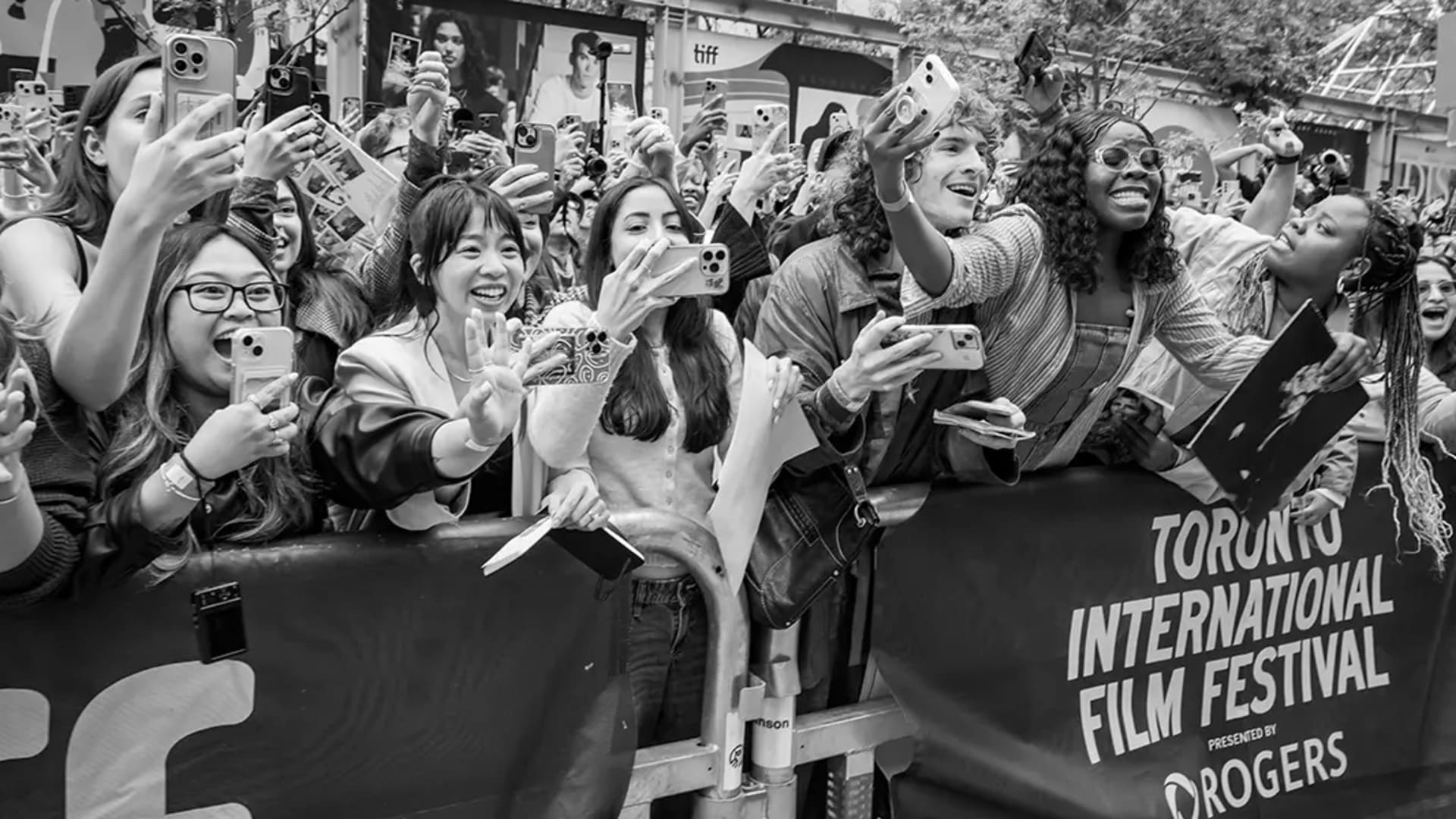 Expected talent attending TIFF 50!