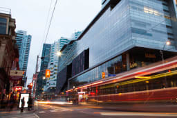 TIFF Announces Leadership Promotions and Welcomes New Senior Executives