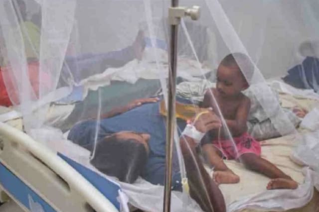 One more dies of dengue; 430 hospitalised in 24hrs