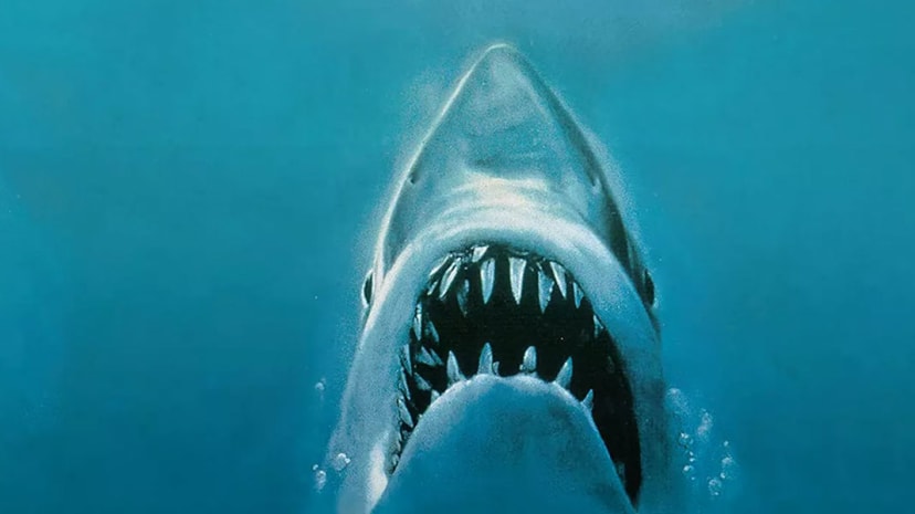 Bearded sailor in period costume aboard historic sailing ship at sunset, with rigging and red cross visible  Magellan