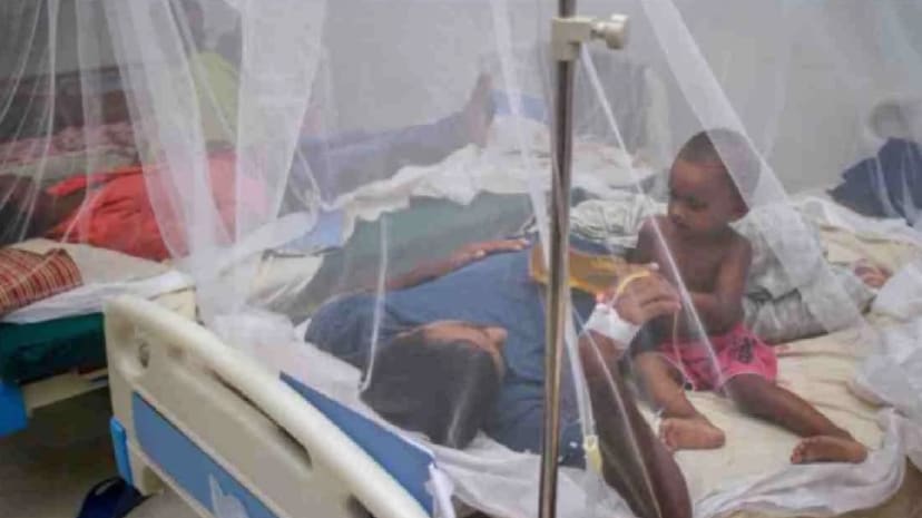 One more dies of dengue; 430 hospitalised in 24hrs