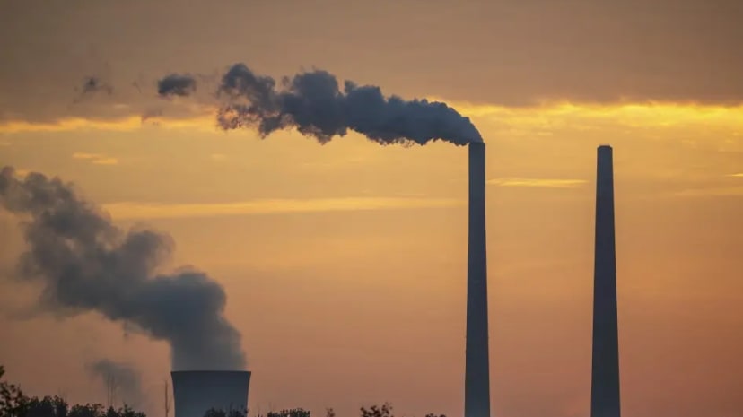 Politicians have to stand up for human rights and the environment