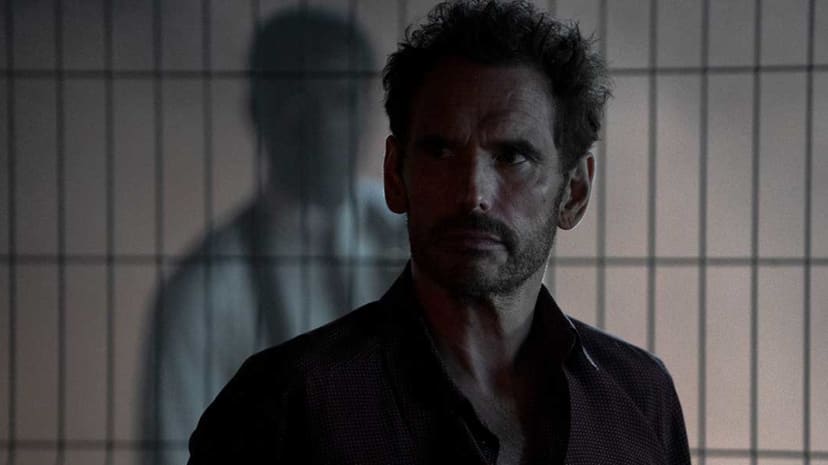 TIFF 50 Reveals Complete Lineup of 291 Films