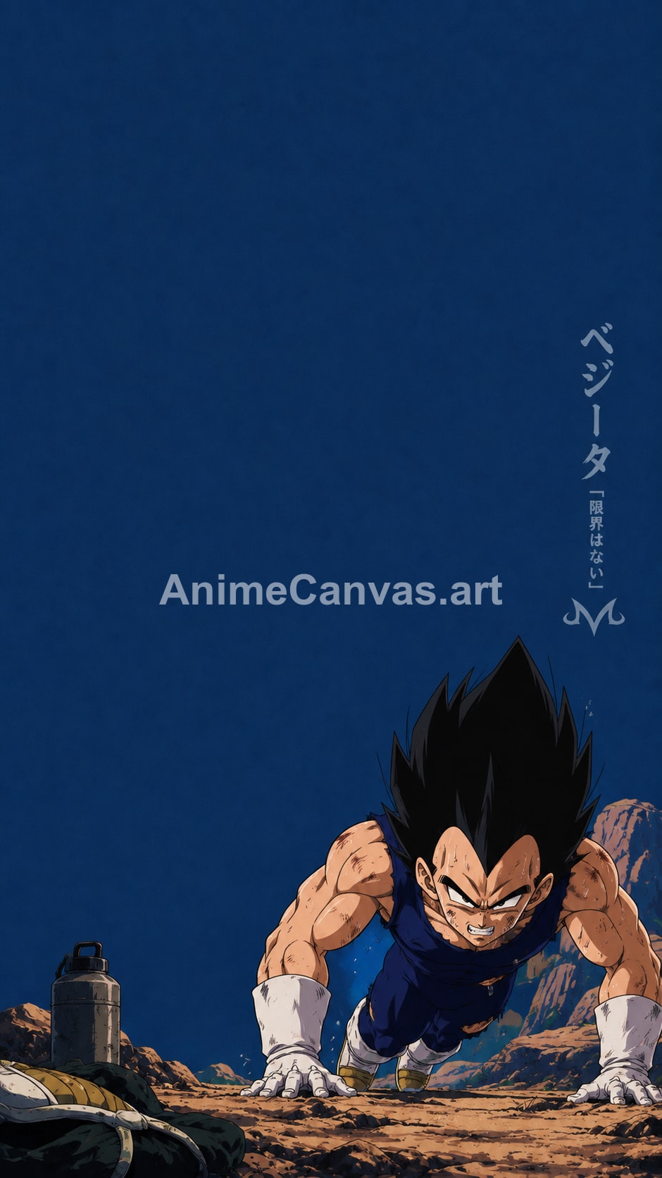 Vegeta Training Pose Dragon Ball Z Phone Wallpaper - Dragon Ball Z Vegeta Wallpaper HD