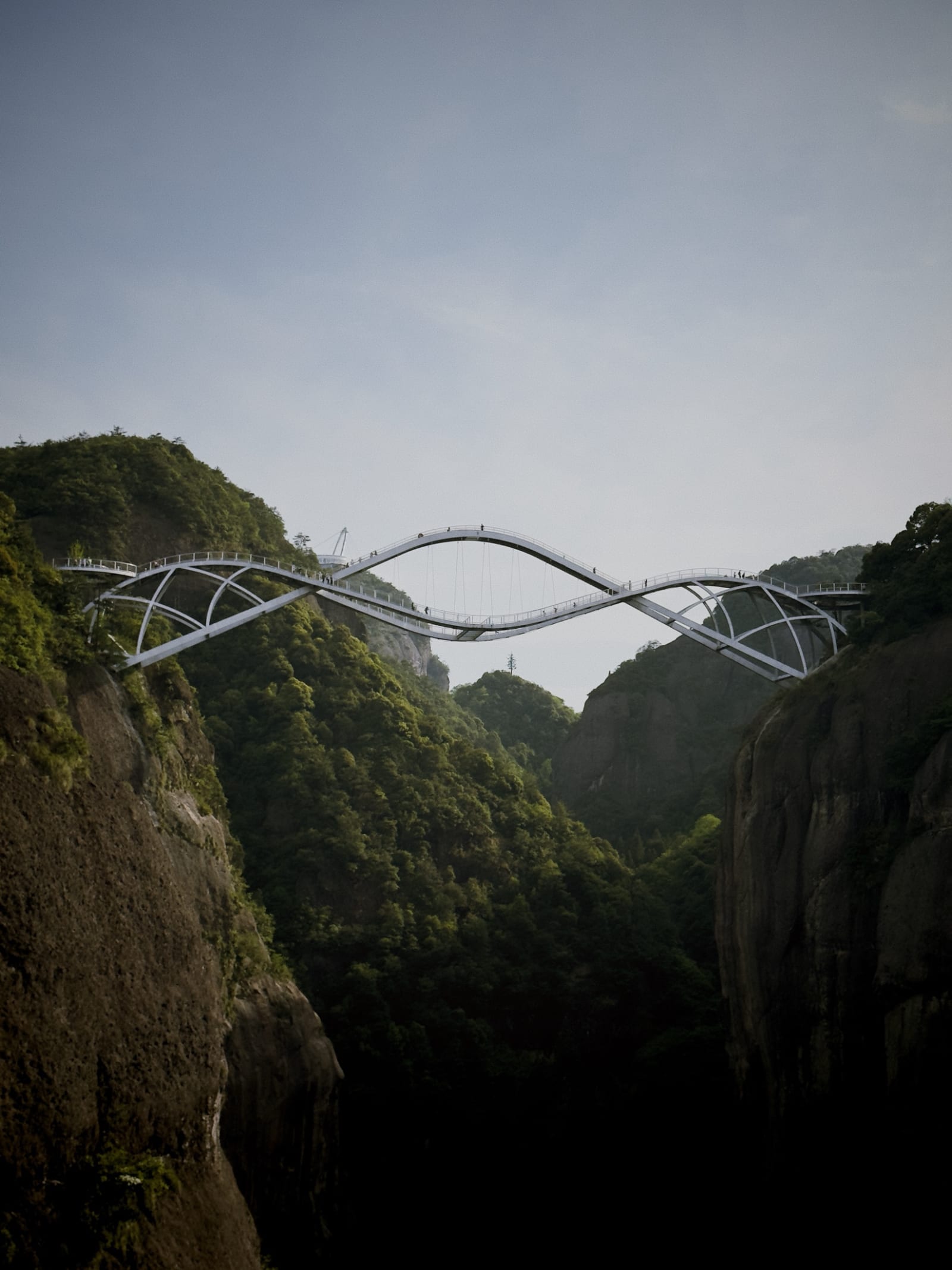 A slender steel arch footbridge spanning a green gorge