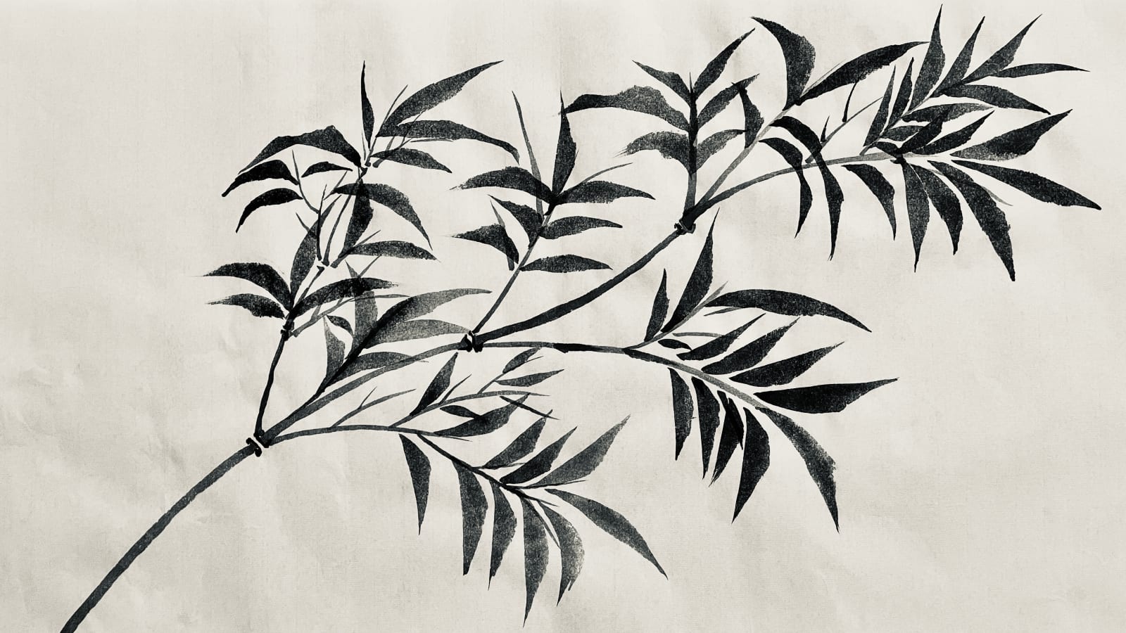 Ink painting of a leafy branch