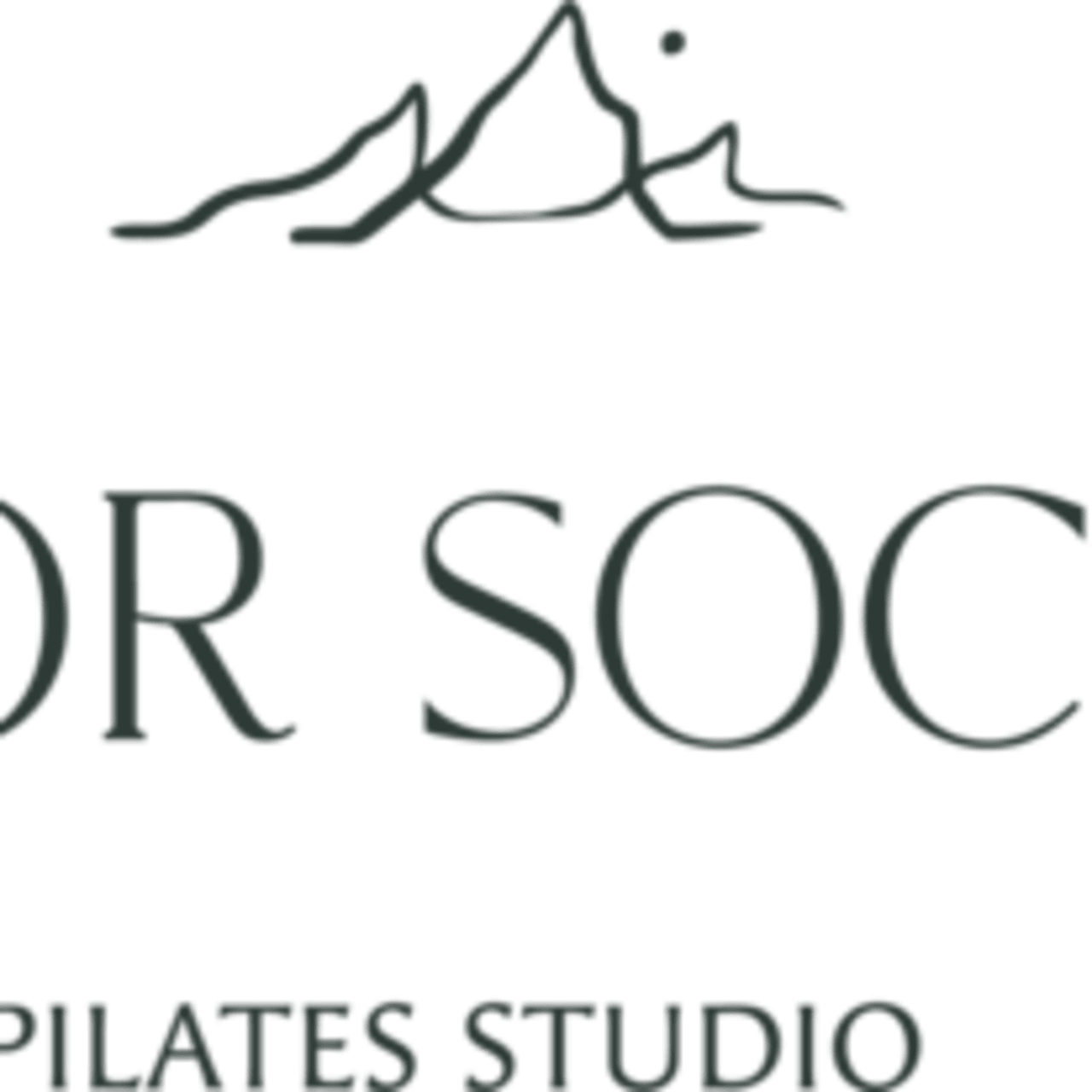 Honor Society Pilates photo 2