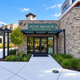 Olive Branch 