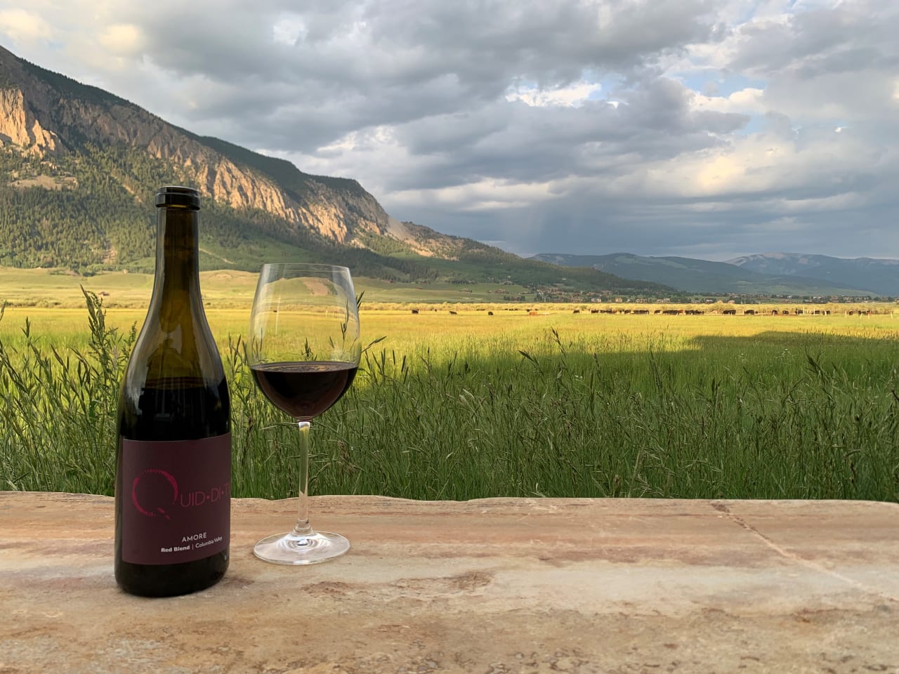 Quiddity Wines photo 5