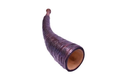 TROMBITY