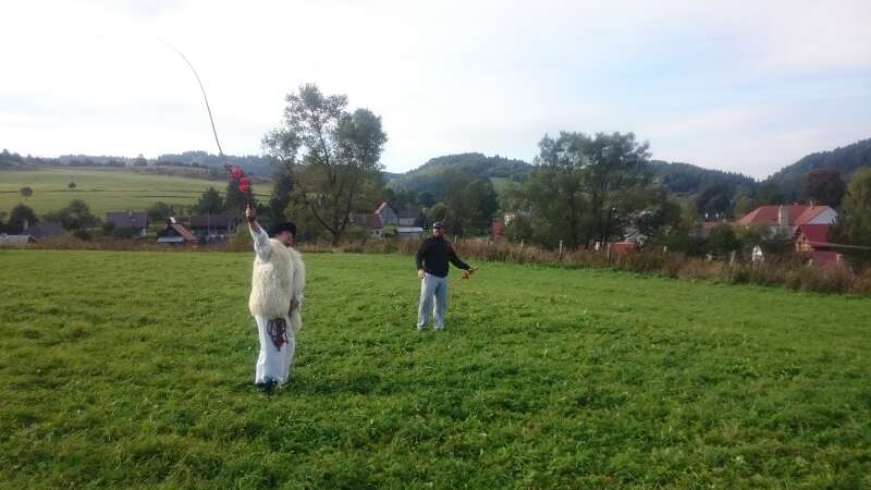 Foto 41