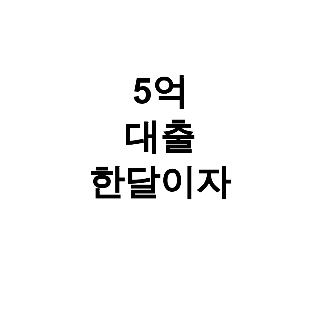 5억 대출 한달이자