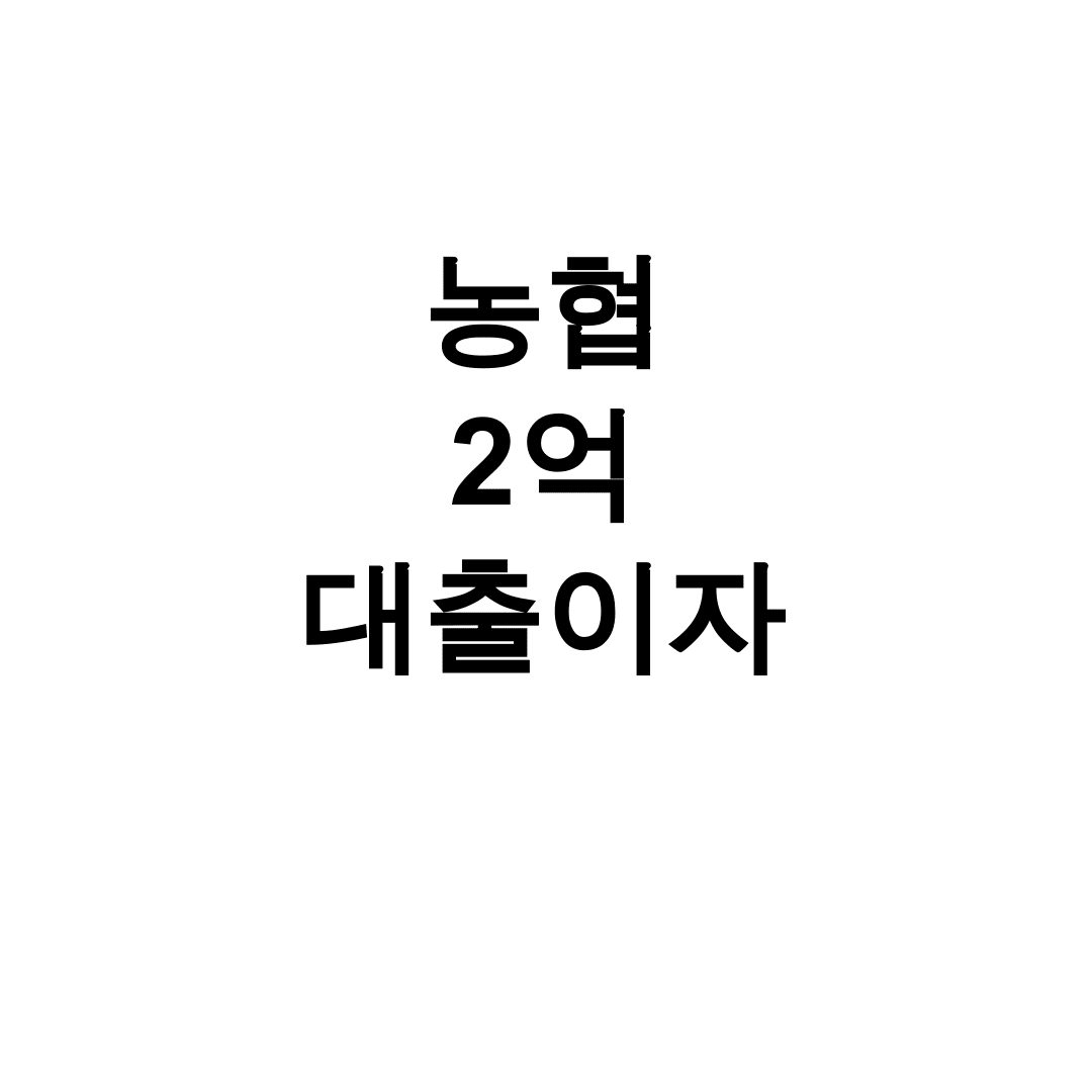 농협 2억 대출이자