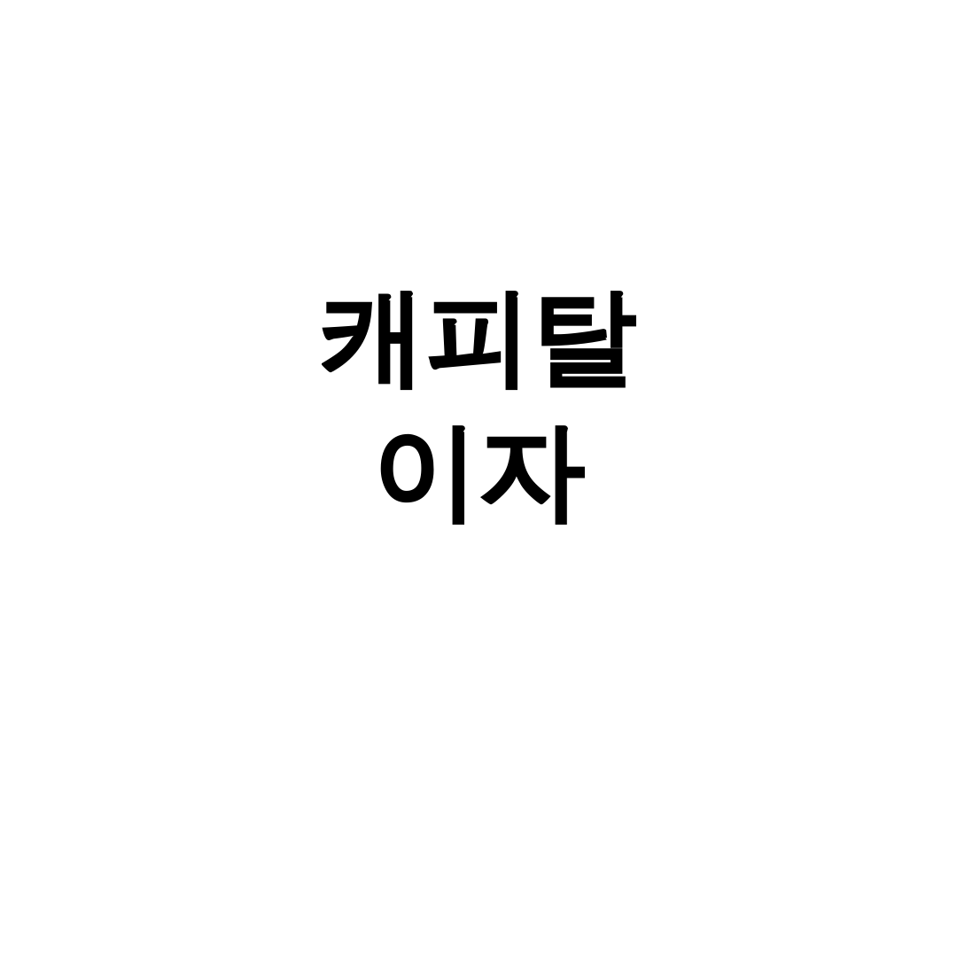 캐피탈 이자