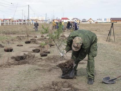 В Якутске пройдет общегородской субботник «Посади свое дерево»