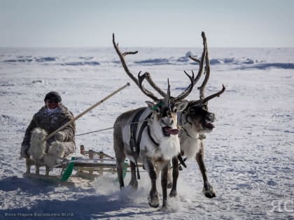 Свыше 1 млрд рублей оценили компенсацию по результатам этнологических экспертиз в Якутии