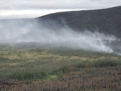 Якутские учёные представили прогноз лесных пожаров на август