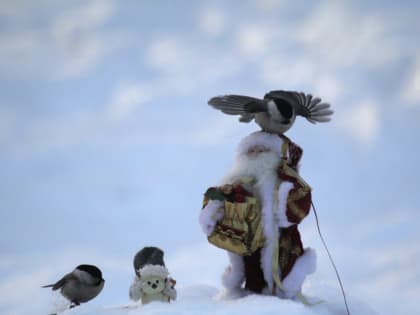 Потепление в Якутии: ученые вычислили, на сколько градусов