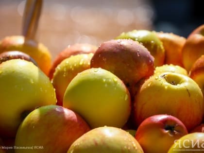 Яблочный Спас — 2023: традиции, приметы, что можно и нельзя делать 19 августа